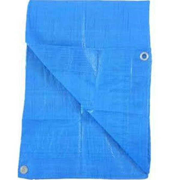 Kaps Tex 10 ft x 12 ft Tarp, Blue 232393